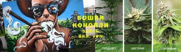 марихуана Туринск