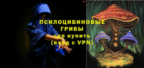 ECSTASY Тында