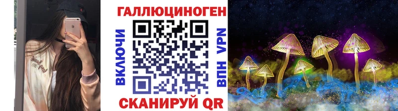 Галлюциногенные грибы Psilocybe  Нижневартовск 