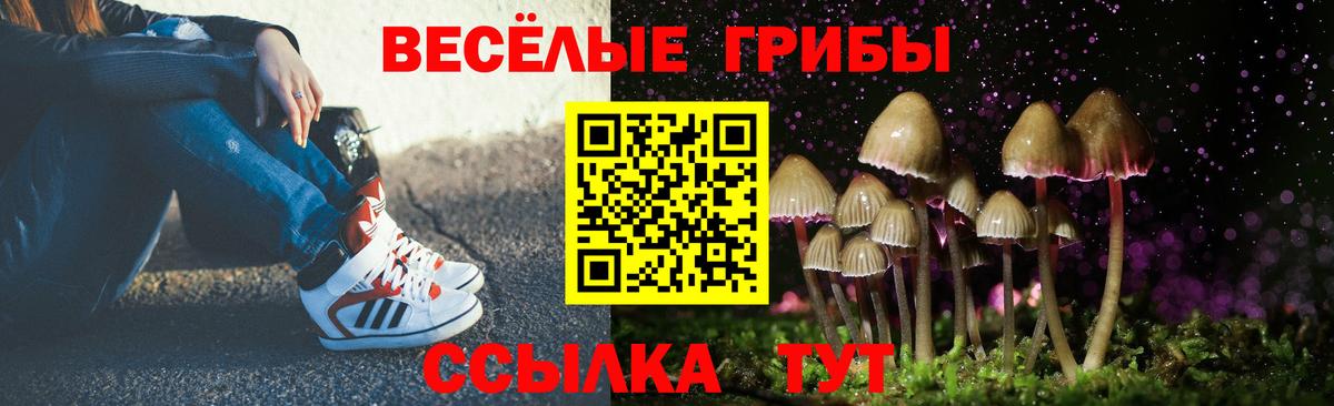 Галлюциногенные грибы Psilocybe Нижневартовск